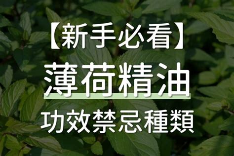 尤加利精油禁忌